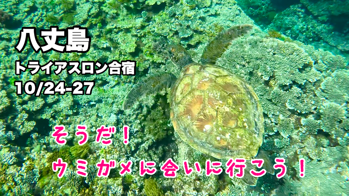 10/24-26 トライアスロン合宿@八丈島